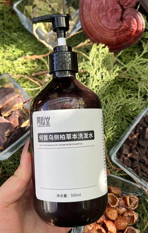 告別脫發(fā)困擾！2024平價(jià)防脫育發(fā)產(chǎn)品盤點(diǎn)，這四款值得一試